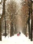 Viale innevato Viale innevato