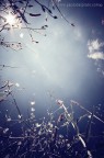 Il Cielo Sopra Il Cielo Sopra