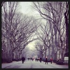 Poet's walk Poet's walk