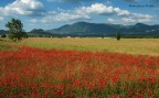 panorama romano panorama romano