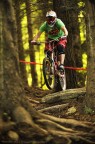 MTB|Radici MTB|Radici