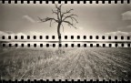 - zip - ;/) pinhole - zip - ;/) pinhole