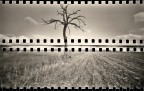 - zip -   ;/)   pinhole