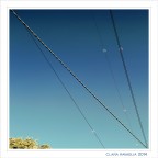 Riccioli.... nel quadrato. Riccioli.... nel quadrato.