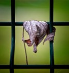 L'ultimo appiglio... L'ultimo appiglio...