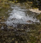 Gocce ribelli Gocce ribelli