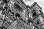 Florence Florence