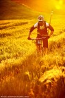 MTB|HotGold MTB|HotGold