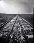 due destini ;/) pinhole due destini ;/) pinhole