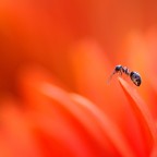 il suo mondo dall'alto.. il suo mondo dall'alto..