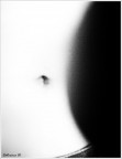 bianco e nero. bianco e nero.