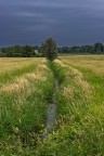 Paesaggio VI