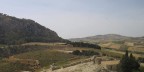 Segesta Segesta