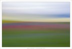 Colori in libert..... Castelluccio