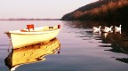 Barca sul lago Barca sul lago