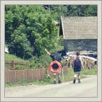 non si sa mai non si sa mai