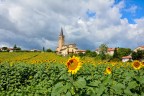 La chiesetta dei girasoli in una ventosa giornata di luglio La chiesetta dei girasoli in una ventosa giornata di luglio