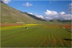 Castelluccio, i campi, scattato da 42 49' 37.17'' N, 13 12' 50.55'' E il 2/07/2014 alle 19:05