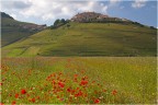 Castelluccio di Norcia, 3/07/2014 ore 17:58