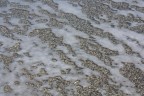 Oggi al mare Oggi al mare