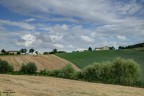 Le marche.
Fusione due scatti a mano libera,

Critiche e commenti sempre graditissimi!