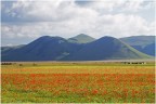 Piana di Castelluccio. Scattato da 42 49' 18:042'' N, 13 12' 47.802'' E alle 16:16 del 2/07/2014