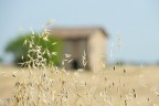 Campi estivi