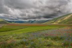 I colori di castelluccio I colori di castelluccio