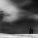 Fuga all'inglese Fuga all'inglese