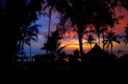 paradise