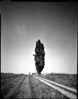 strade bianche ;/) pinhole strade bianche ;/) pinhole