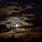Moonlight