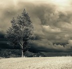 Il temporale Il temporale