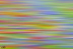Rainbow.. Rainbow..