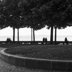 Trevignano Trevignano