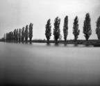 camera : DeliuxTO36cp (homemade pinhole curved plane, 6x6, wood) F205
film : Ilford PAN-F 50 @25iso
exposure : 16min
development : J-Nsol FM + C (homemade soup)
18min in tank
scanned : Epson V600