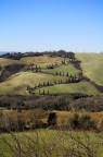 Colline Senesi Colline Senesi