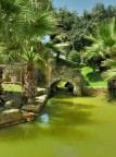 Le terme di Agnano.