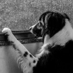 It's still raining It's still raining