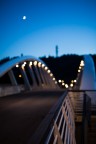 Canon Eos 5DMk3
Sigma 50mm F1.4 DG HSM Art
1/125 f/1.4 iso 800 20.53
Roma 1 agosto 2014, Ponte della Musica.