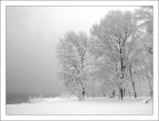 l'eleganza della neve l'eleganza della neve