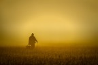 IL CERCATORE IL CERCATORE