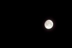 Selene Selene