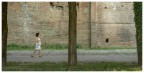 three trees