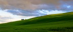 green green