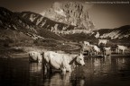 Foto scattata al laghetto di Pietranzoni nei pressi del Gran Sasso d'Italia.