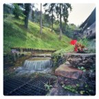 13 secondi di freschezza ;/) pinhole 13 secondi di freschezza ;/) pinhole