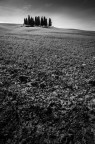 paesaggio Toscano