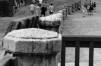 colonnini