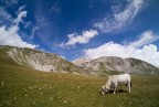 Paesaggi d'Abruzzo Paesaggi d'Abruzzo